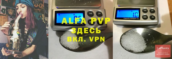 стафф Арсеньев