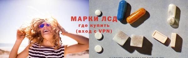 стафф Арсеньев